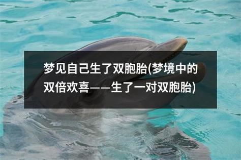 代生了双胞胎公司-代生了双胞胎公司：双倍的爱与希望
