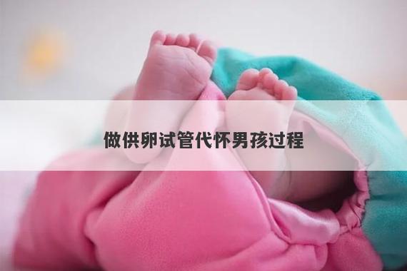 供卵试管代怀生子(供卵试管代怀生子：新生命的奇迹)