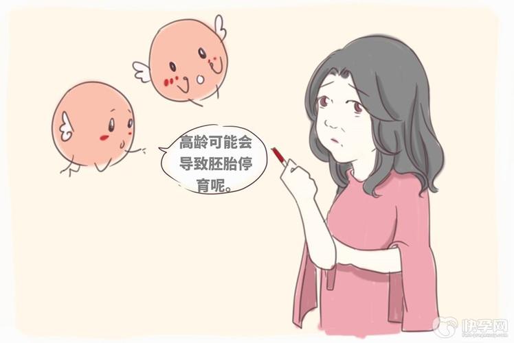 供卵试管成功率高吗(高龄)-供卵试管成功率高吗(高龄):真实案例告诉你答案