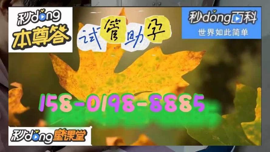 供卵价位是多少地下(地下供卵:价格究竟是多少?)