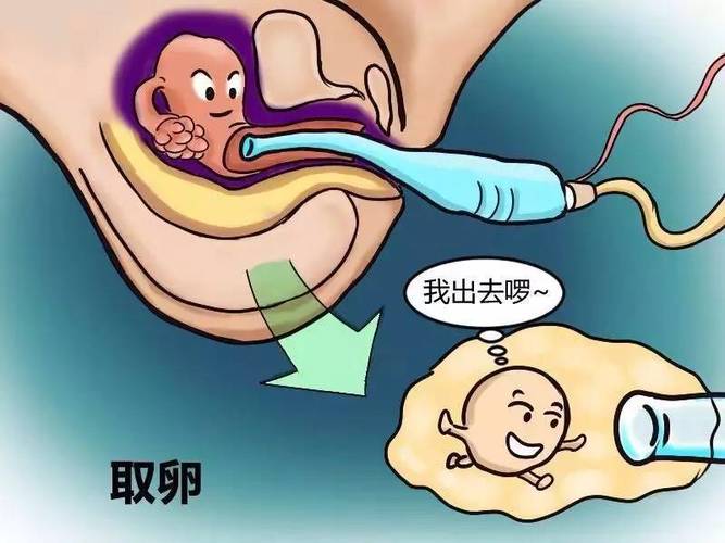 供卵试管代怀包成功【供卵试管代怀包成功:成功孕育新生命的希望】