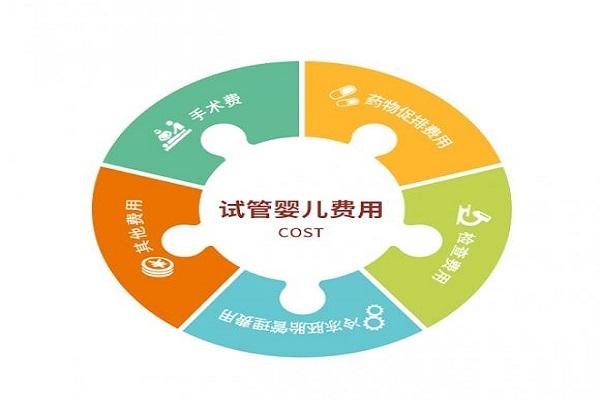 代生小孩包成功多少费用_代生小孩包成功需要多少费用?